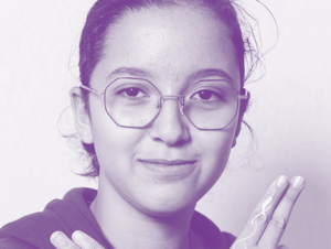 Agrandir l'image (fenêtre modale)