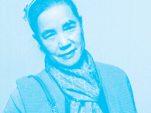 Agrandir l'image (fenêtre modale)