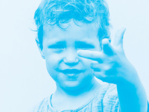 Agrandir l'image (fenêtre modale)