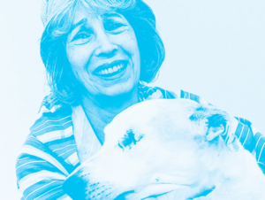 Agrandir l'image (fenêtre modale)