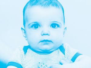 Agrandir l'image (fenêtre modale)