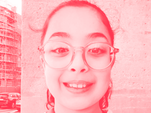 Agrandir l'image (fenêtre modale)