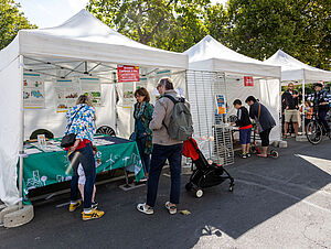 Agrandir l'image (fenêtre modale)