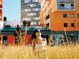 Agrandir l'image (fenêtre modale)