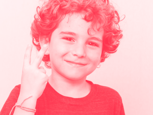 Agrandir l'image (fenêtre modale)