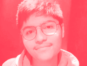 Agrandir l'image (fenêtre modale)