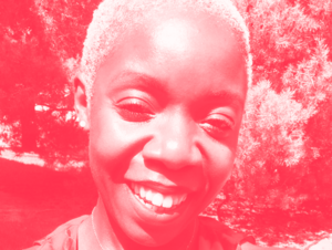 Agrandir l'image (fenêtre modale)