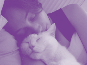 Agrandir l'image (fenêtre modale)